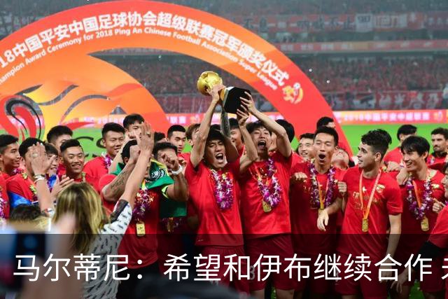 马尔蒂尼：希望和伊布继续合作 未和凯西达成一致